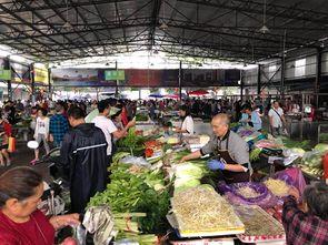 广汉吃瓜最新事件爆料新闻,最新爆料揭示惊人内幕